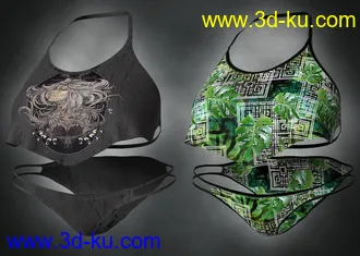 3D打印模型dForce Wilder Bikini Outfit for Genesis 8 Female的图片