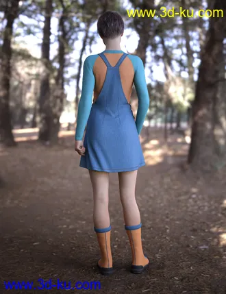 3D打印模型dForce Winterberry Outfit for Genesis 8 Female(s)的图片