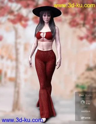 3D打印模型dForce X-Fashion Boho Chic Outfit 05 for Genesis 8 Female(s)的图片