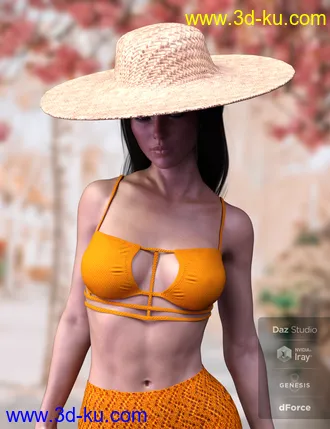 3D打印模型dForce X-Fashion Boho Chic Outfit 05 for Genesis 8 Female(s)的图片