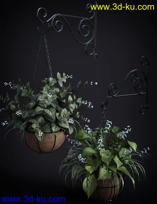 DGV Miniature Gardens vol 3 Hanging Plants模型的图片1