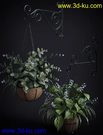 3D打印模型DGV Miniature Gardens vol 3 Hanging Plants的图片