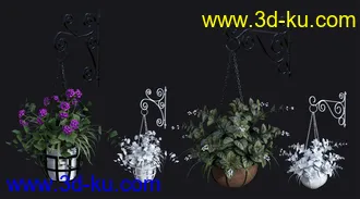 3D打印模型DGV Miniature Gardens vol 3 Hanging Plants的图片