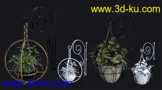 3D打印模型DGV Miniature Gardens vol 3 Hanging Plants的图片