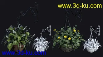 3D打印模型DGV Miniature Gardens vol 3 Hanging Plants的图片