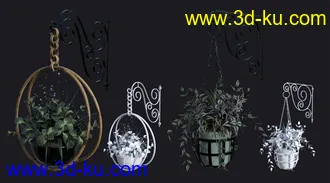 3D打印模型DGV Miniature Gardens vol 3 Hanging Plants的图片