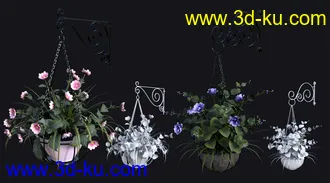 3D打印模型DGV Miniature Gardens vol 3 Hanging Plants的图片