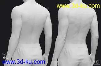 3D打印模型Diego 8 HD Add-On的图片