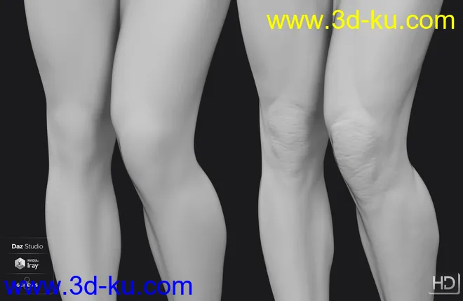 Diego 8 HD Add-On模型的图片7