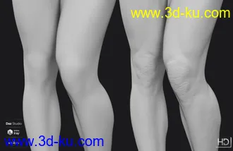 3D打印模型Diego 8 HD Add-On的图片