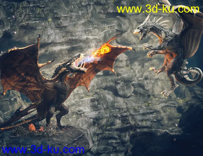Dragon's Nest模型的图片2
