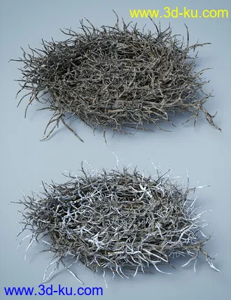 3D打印模型Dragon's Nest的图片