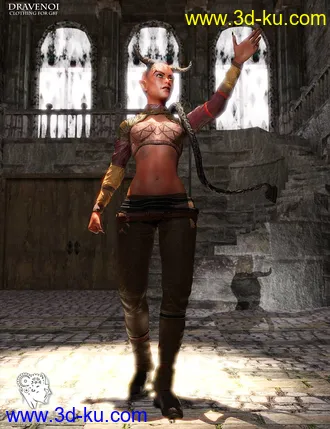 3D打印模型Dravenoi Clothing for G8F的图片