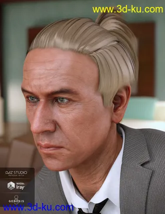 3D打印模型Duncan Hair for Dasan 8的图片