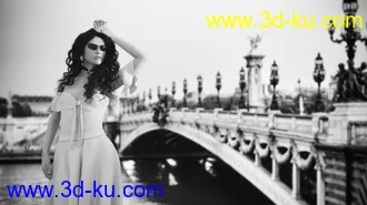 3D打印模型Easy DOF Backgrounds Paris的图片