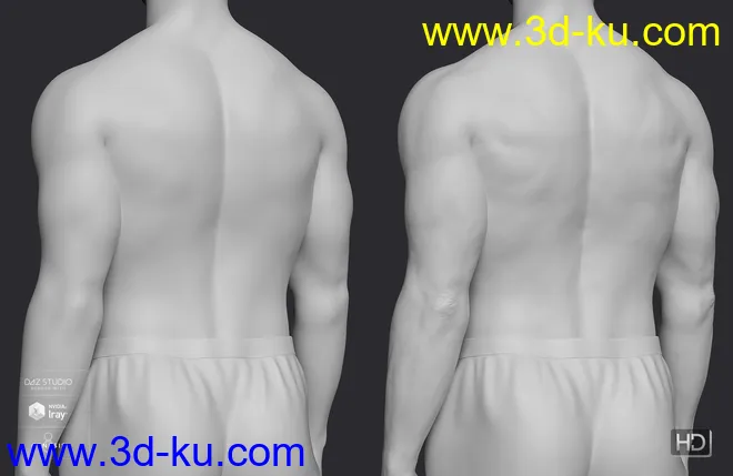 Elios 8 HD Add-On模型的图片5
