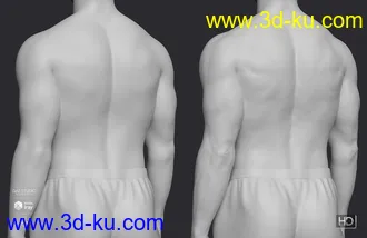 3D打印模型Elios 8 HD Add-On的图片