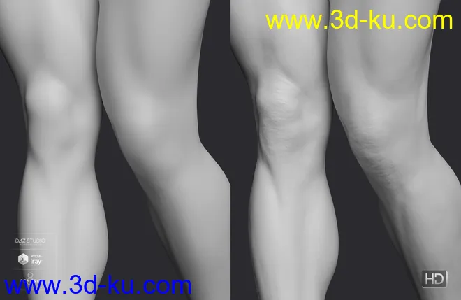 Elios 8 HD Add-On模型的图片7