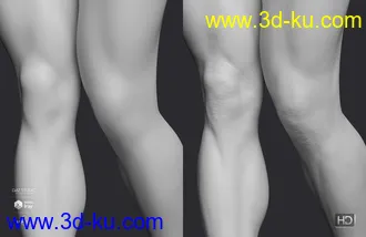 3D打印模型Elios 8 HD Add-On的图片