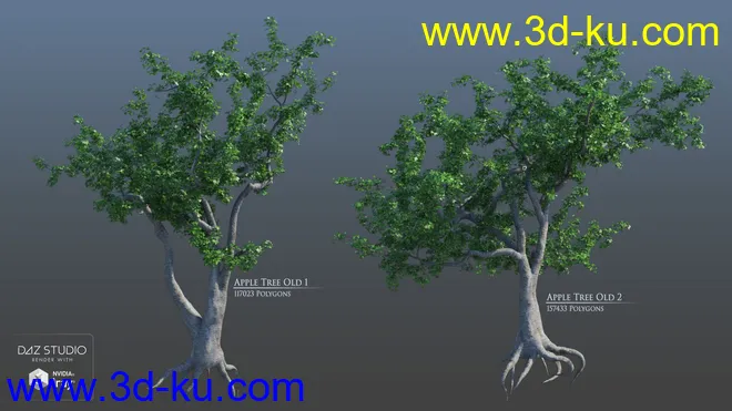 European Trees模型的图片2