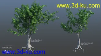 3D打印模型European Trees的图片