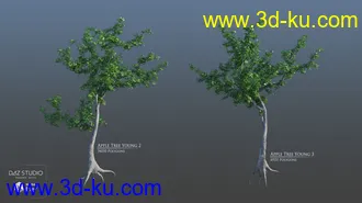 3D打印模型European Trees的图片