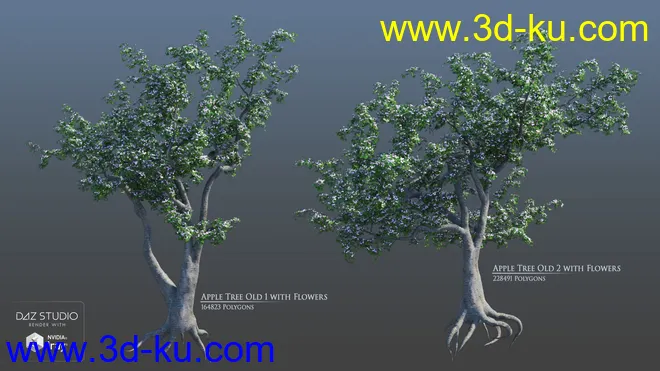 European Trees模型的图片5