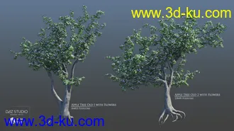 3D打印模型European Trees的图片