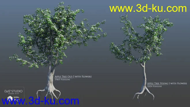 European Trees模型的图片6