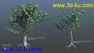 3D打印模型European Trees的图片