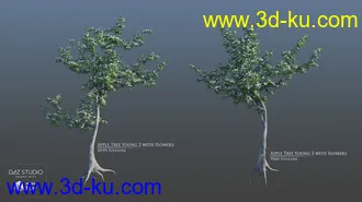 3D打印模型European Trees的图片