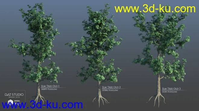 European Trees模型的图片8