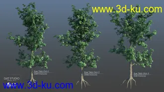 3D打印模型European Trees的图片