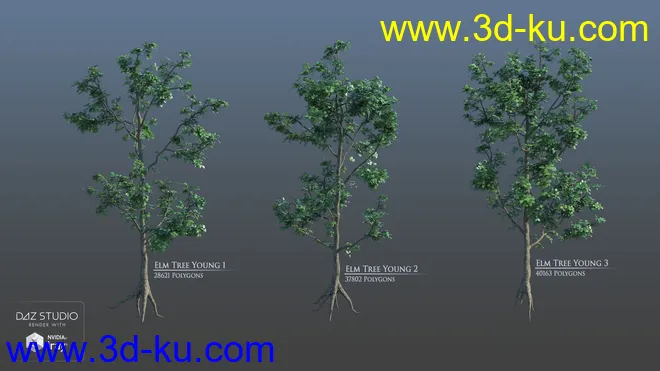 European Trees模型的图片9