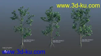 3D打印模型European Trees的图片