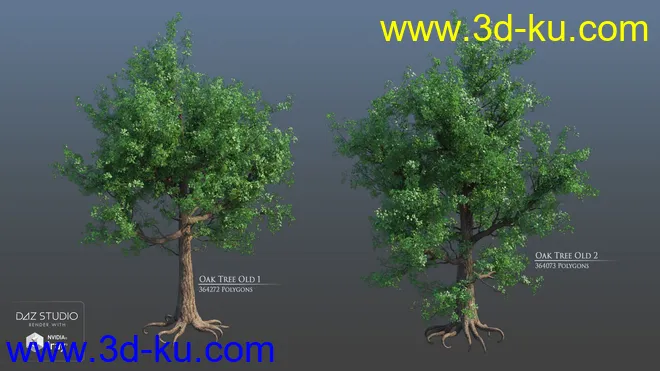European Trees模型的图片10