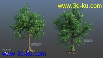 3D打印模型European Trees的图片