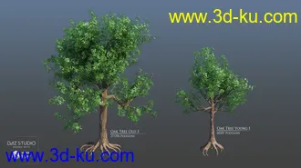 3D打印模型European Trees的图片