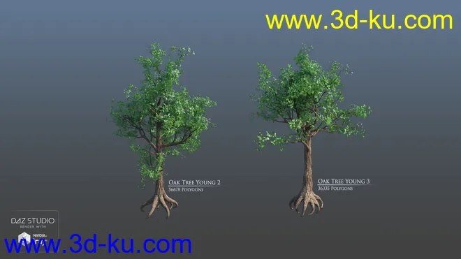 European Trees模型的图片12
