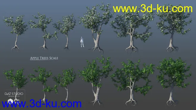 European Trees模型的图片13