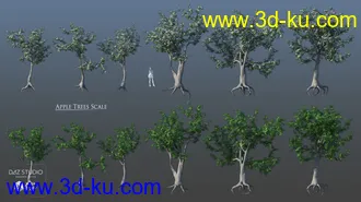 3D打印模型European Trees的图片