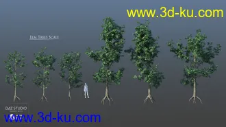3D打印模型European Trees的图片