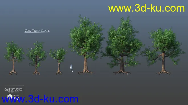 European Trees模型的图片15