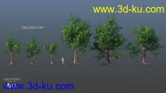 3D打印模型European Trees的图片