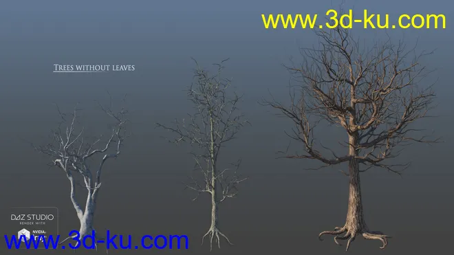 European Trees模型的图片16