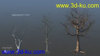 3D打印模型European Trees的图片