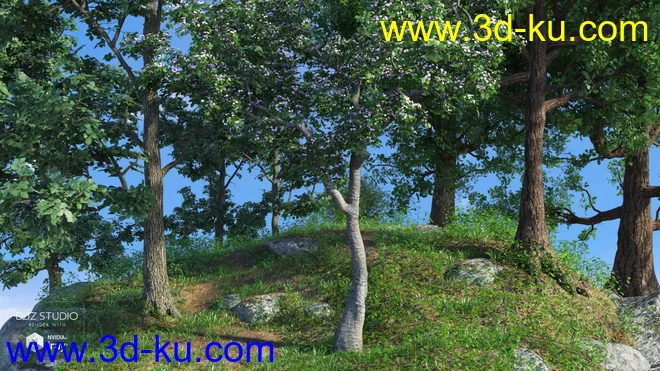 European Trees模型的图片18