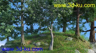 3D打印模型European Trees的图片