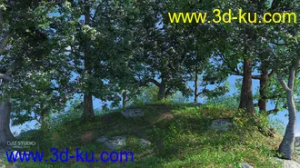 3D打印模型European Trees的图片