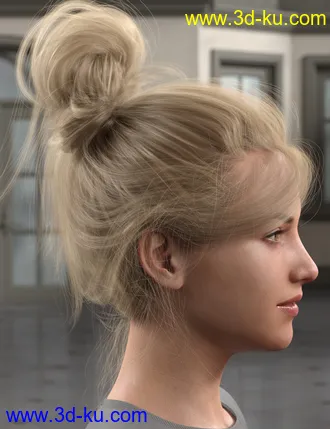 3D打印模型Everyday Updo 2 Hair for Genesis 3 and 8的图片